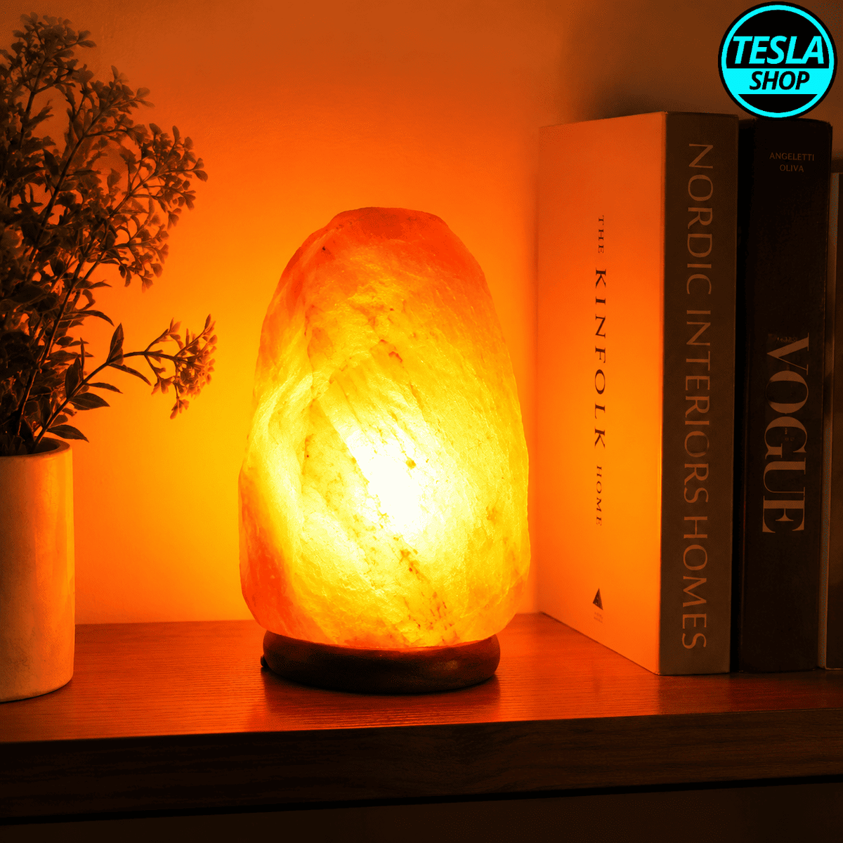 Lampa od Himalajske Soli – Prirodni Slani Kristal za Zdraviji i Prijatniji Ambijent