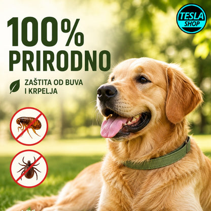 Ogrlica za pse protiv buva i krpelja 100% prirodno